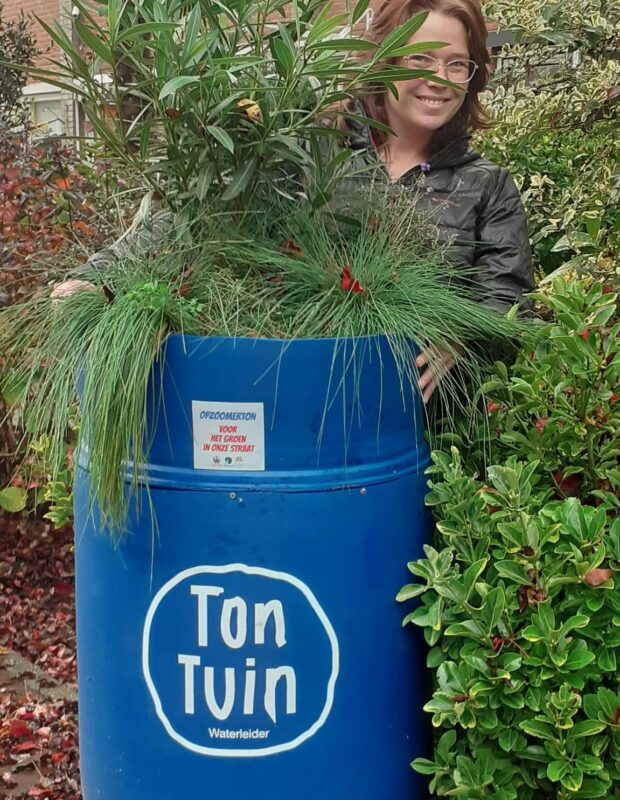 Placemaker bij uitstek, blauw en groen gecombineerd in de openbare ruimte, de TonTuin